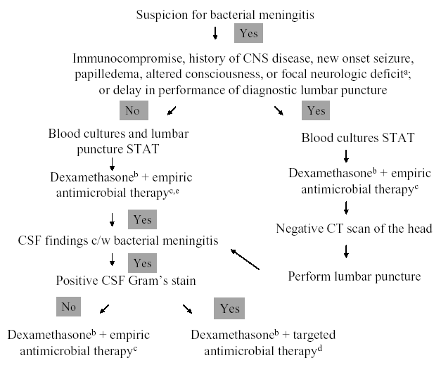 Meningitis Csf Chart