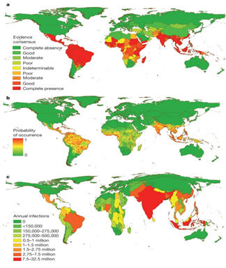 Dengue Fever Virus - and Antimicrobial Agents