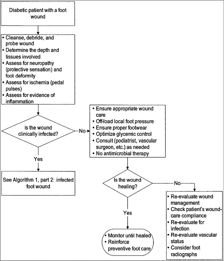 Wound Assessment Chart Sample